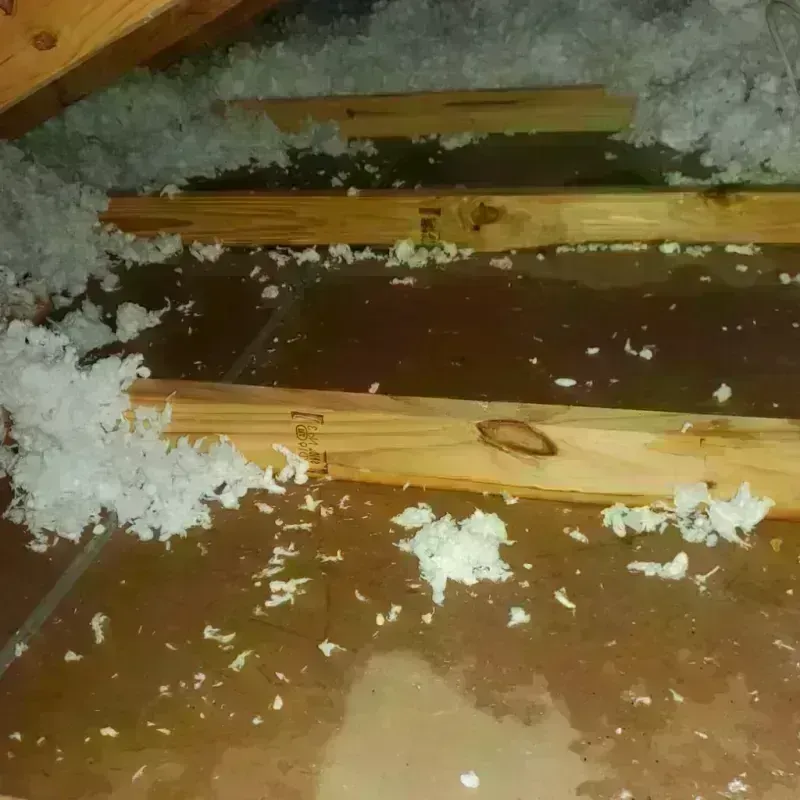 Attic Water Damage in Mount Shasta, CA