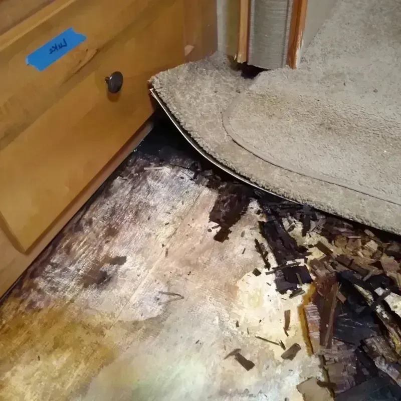 Best Wood Floor Water Damage Service in Mount Shasta, CA